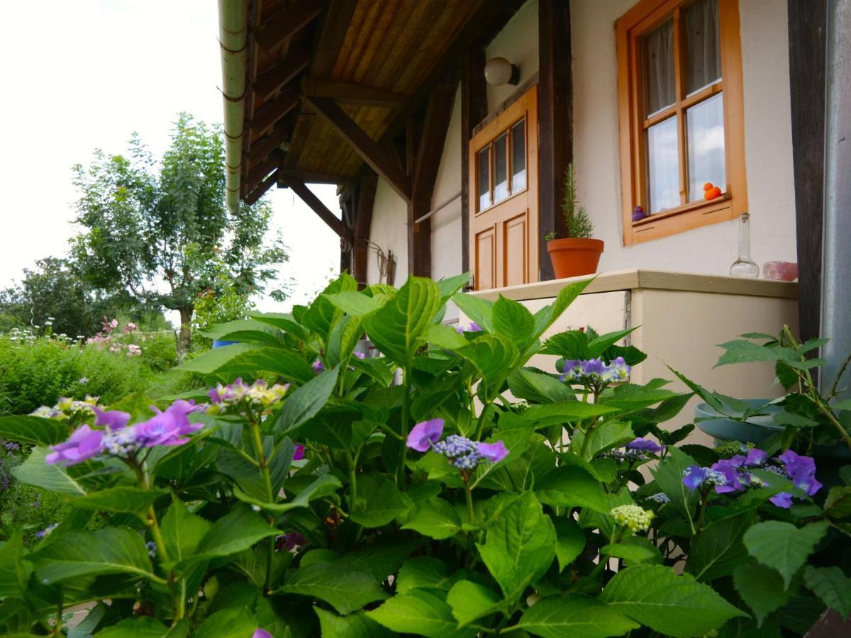 Selanka Off Road Hill View Hotel Moravske Lieskove Exterior foto