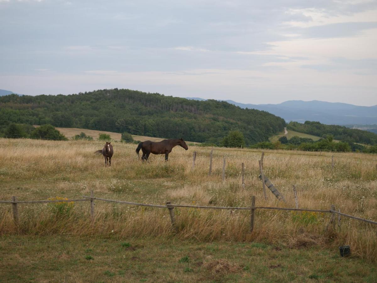 Selanka Off Road Hill View Hotel Moravske Lieskove Exterior foto